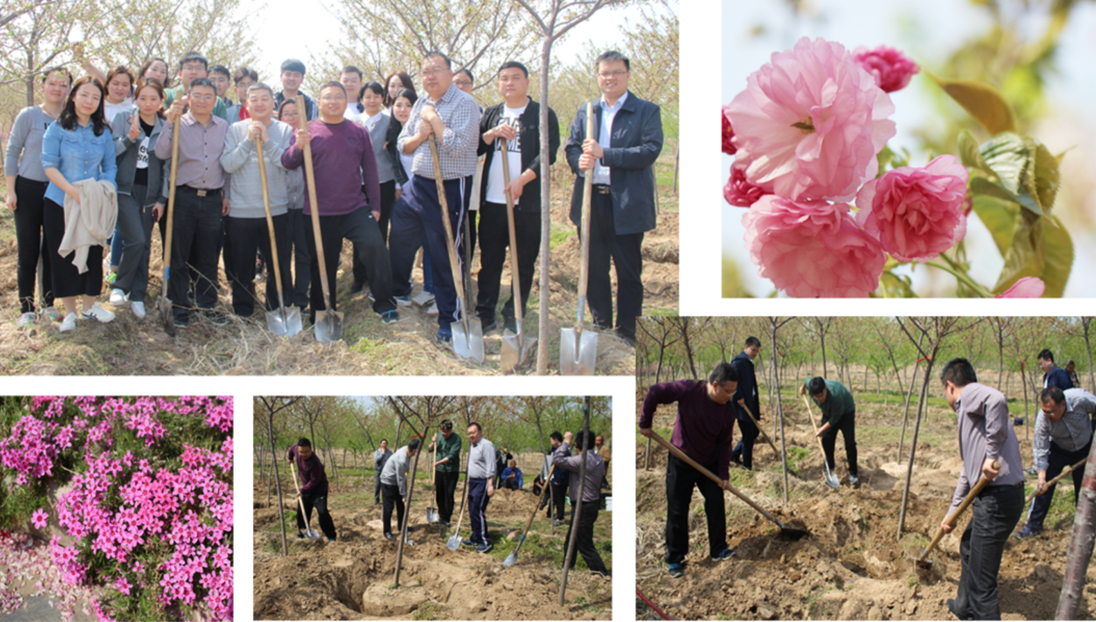 社會責任-v2.png 社會責任-v2.png